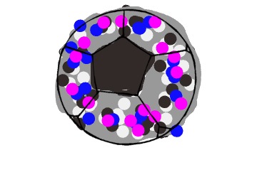 bojanke_1705433938.png
