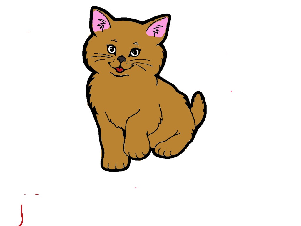 bojanke_1705489221.png