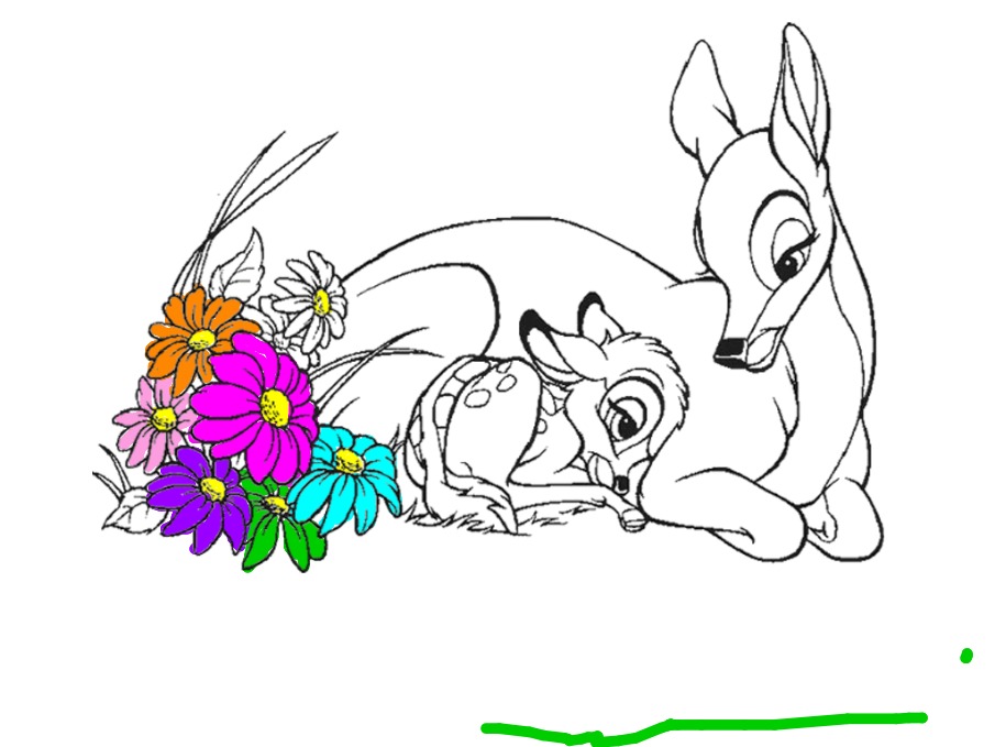 bojanke_1705493736.png