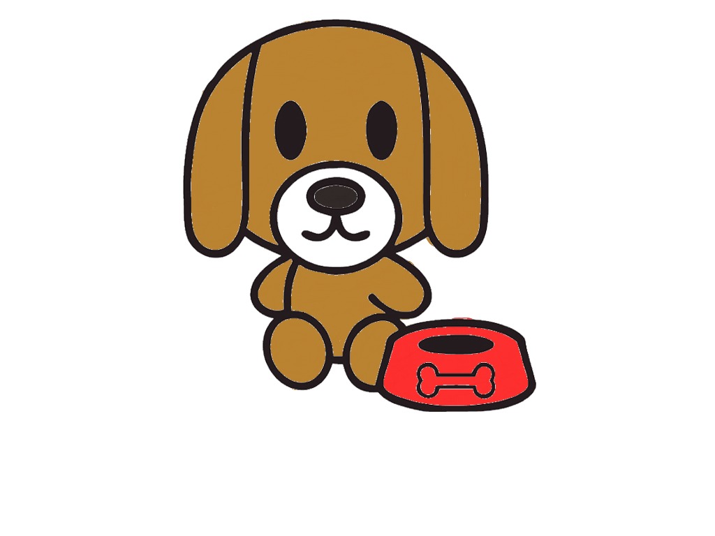 bojanke_1705494098.png