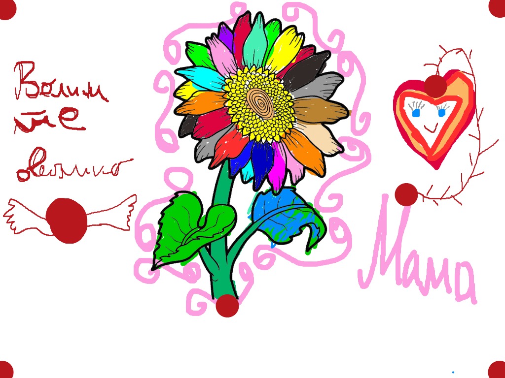 bojanke_1705494617.png