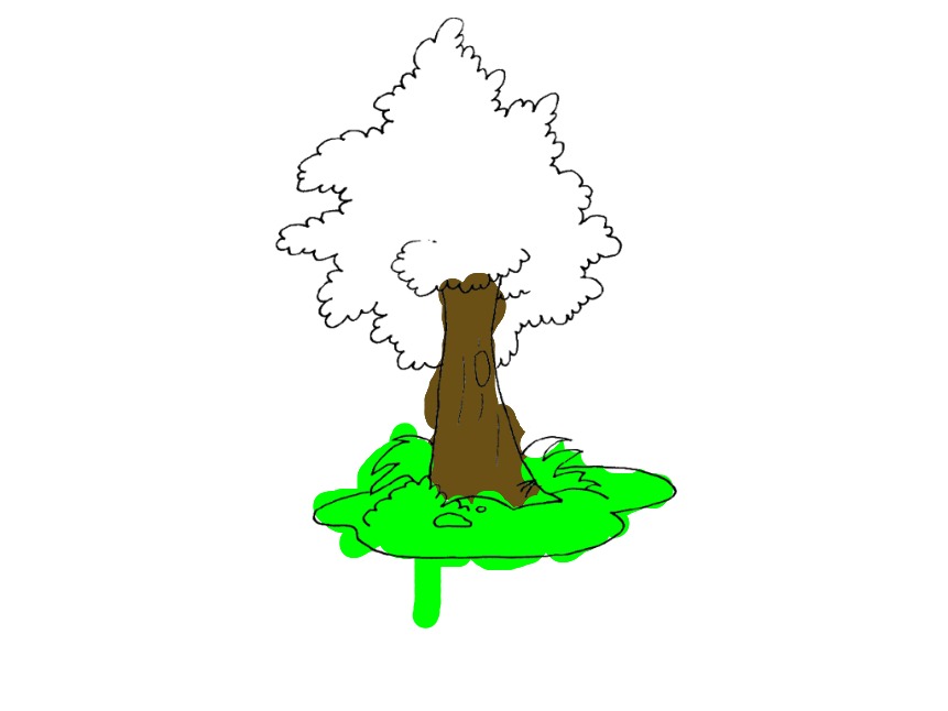 bojanke_1705497897.png
