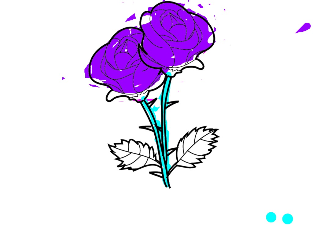 bojanke_1705505030.png