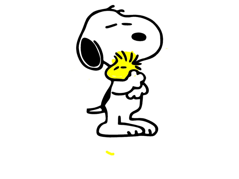 bojanke_1705587189.png