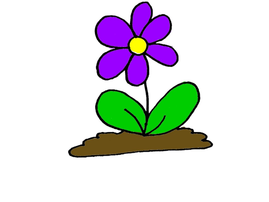 bojanke_1705601530.png