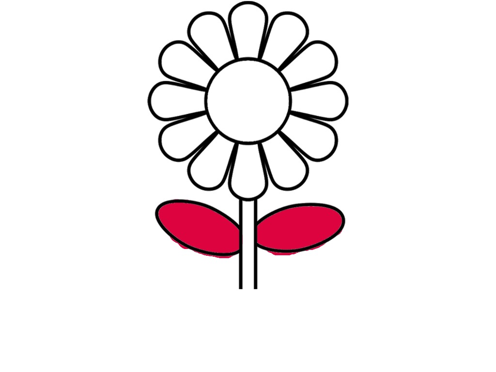 bojanke_1705679220.png