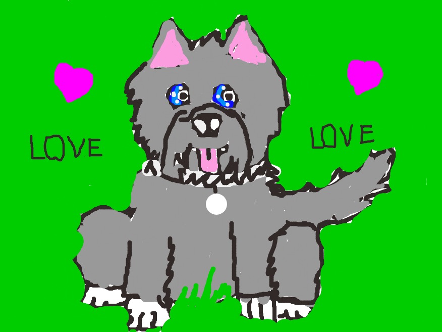 bojanke_1707673705.png