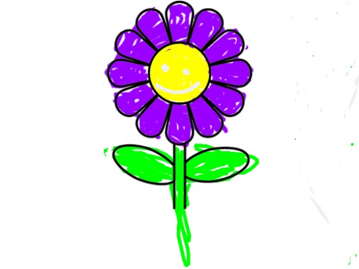 bojanke_1707681517.png