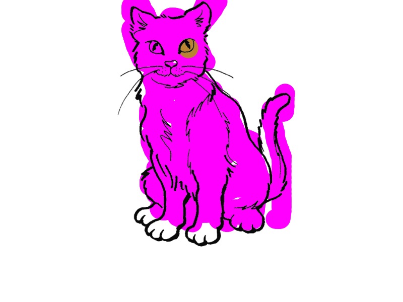 bojanke_1707753198.png