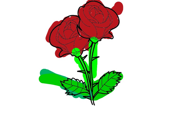 bojanke_1707755245.png