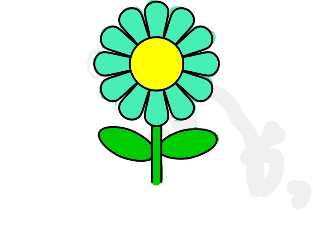 bojanke_1708543348.png