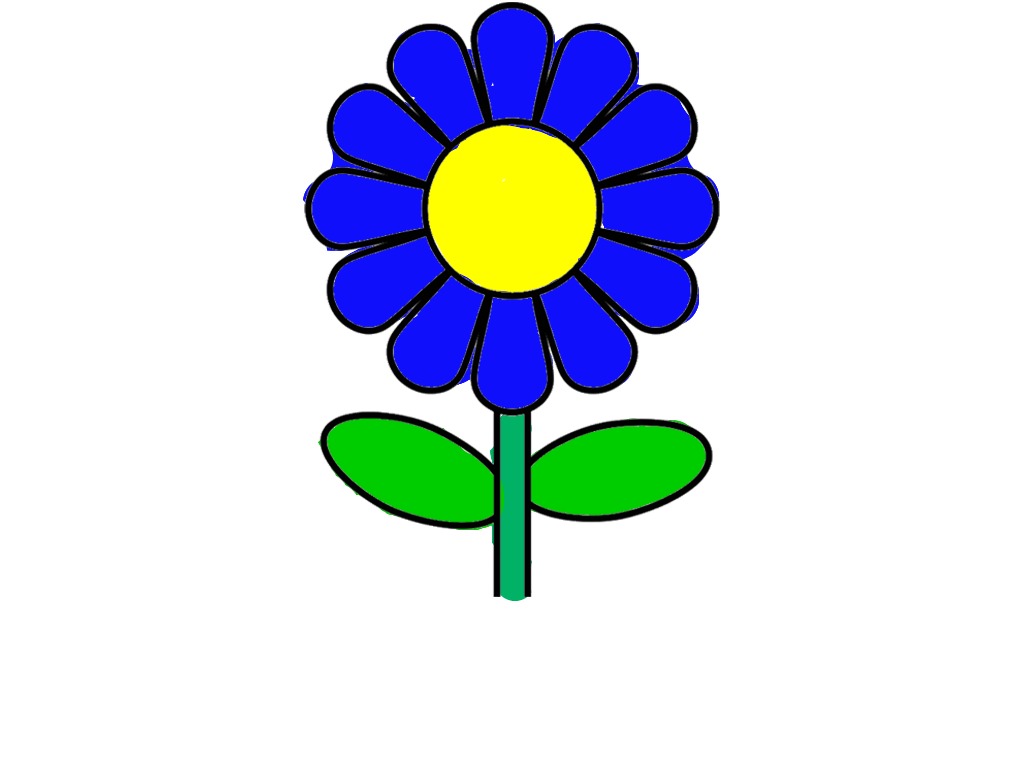 bojanke_1709647907.png