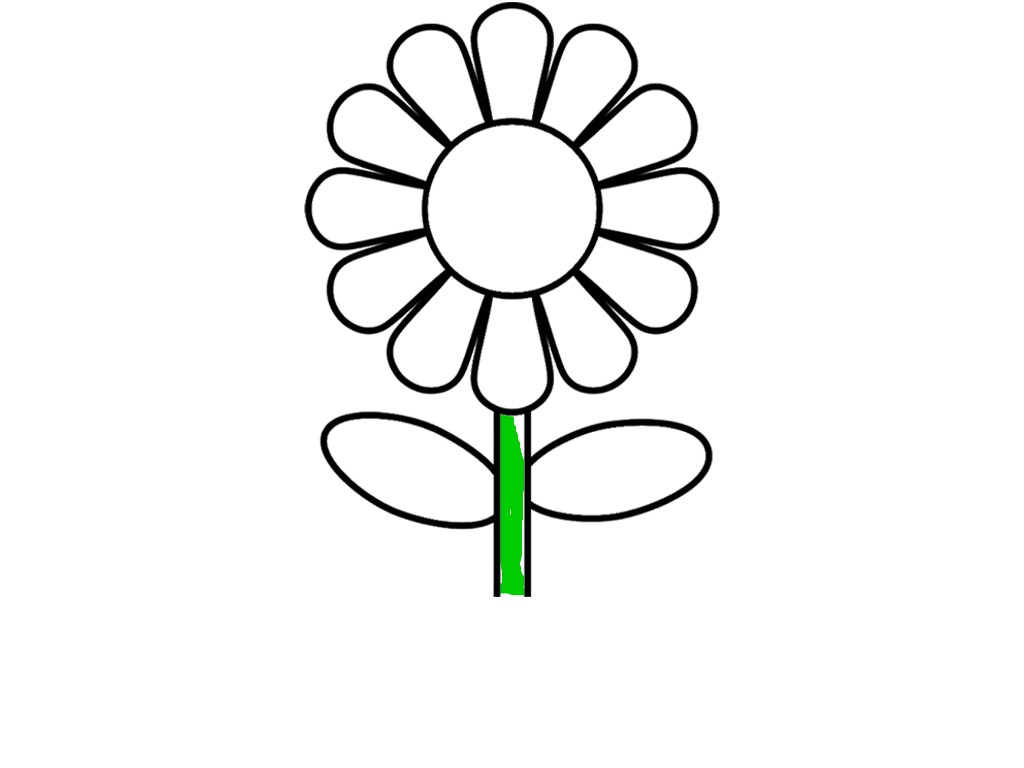 bojanke_1709649290.png