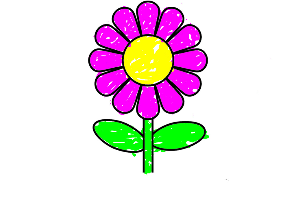 bojanke_1709831762.png