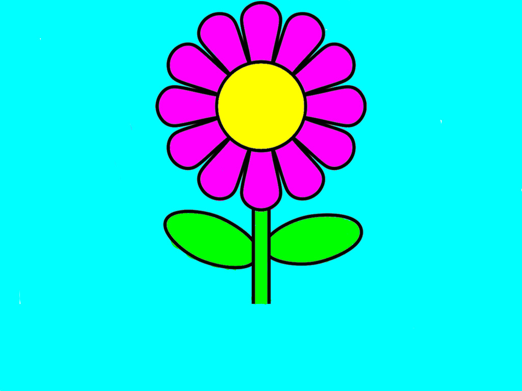 bojanke_1709839596.png