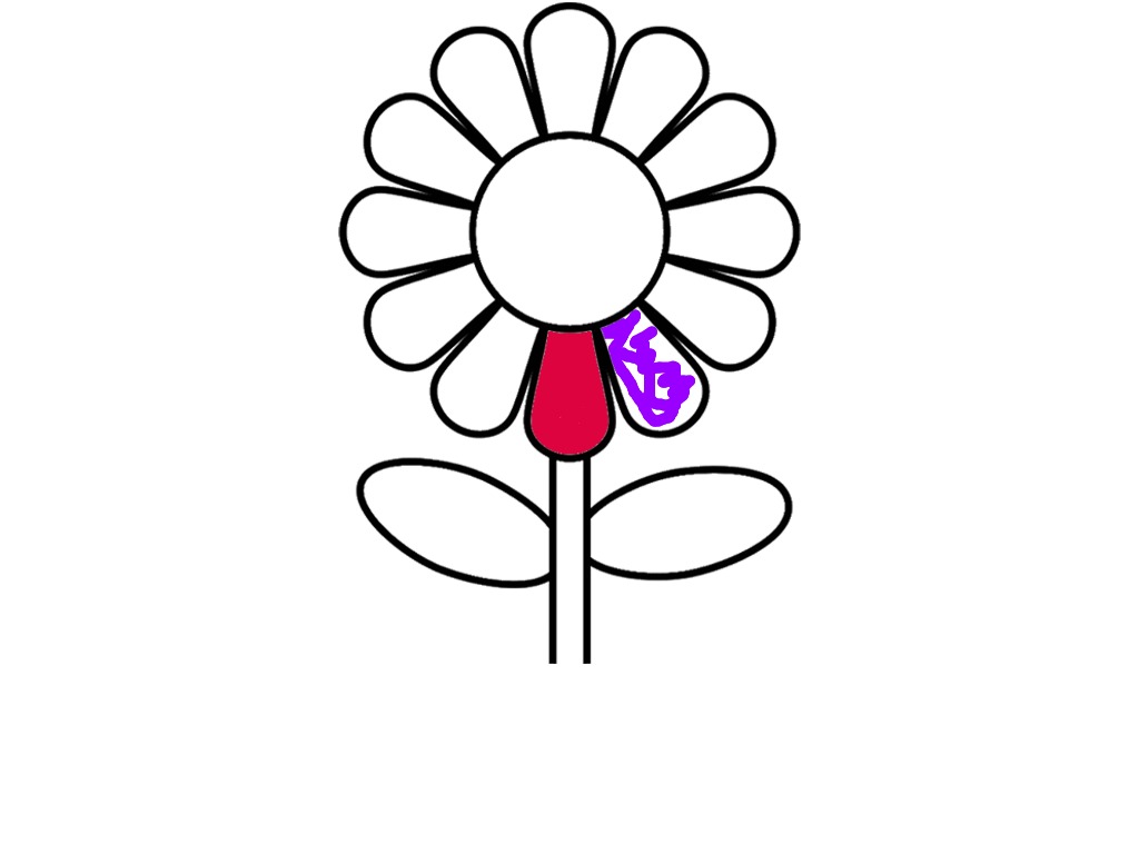 bojanke_1710005369.png