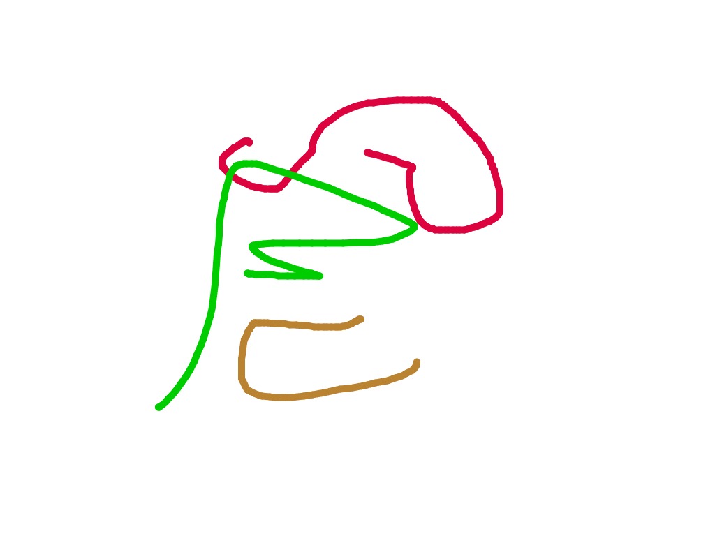 bojanke_1710027494.png