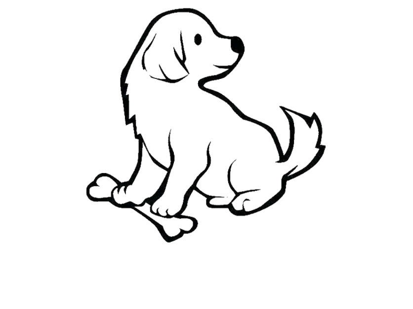 bojanke_1710049603.png