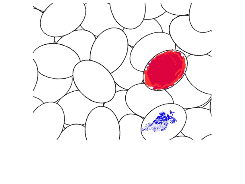 bojanke_1710529281.png