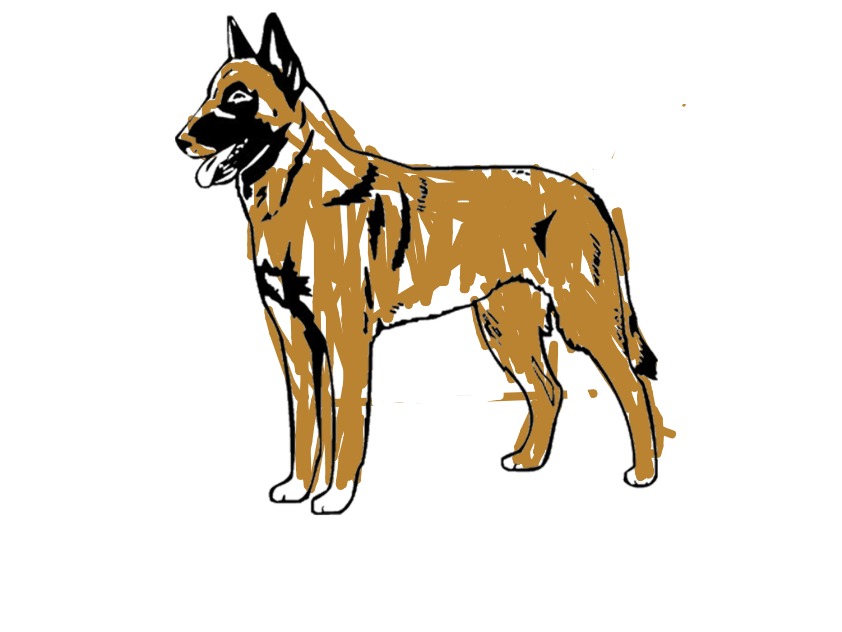 bojanke_1710750699.png