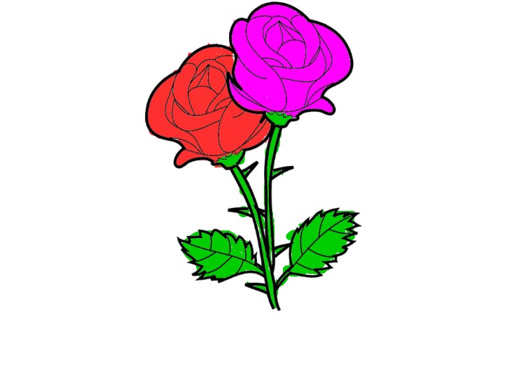 bojanke_1710762192.png