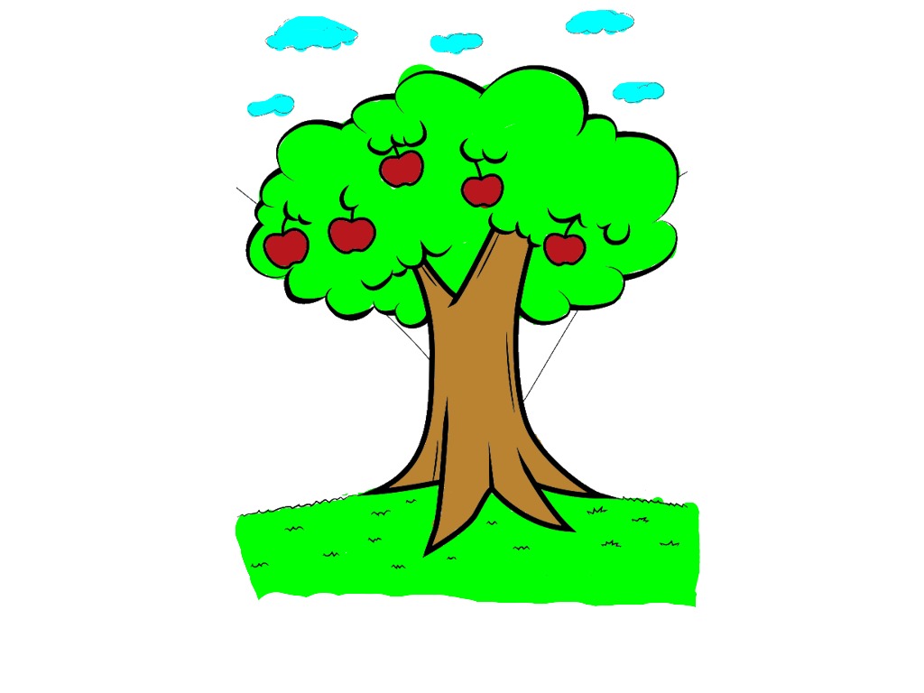 bojanke_1711274097.png