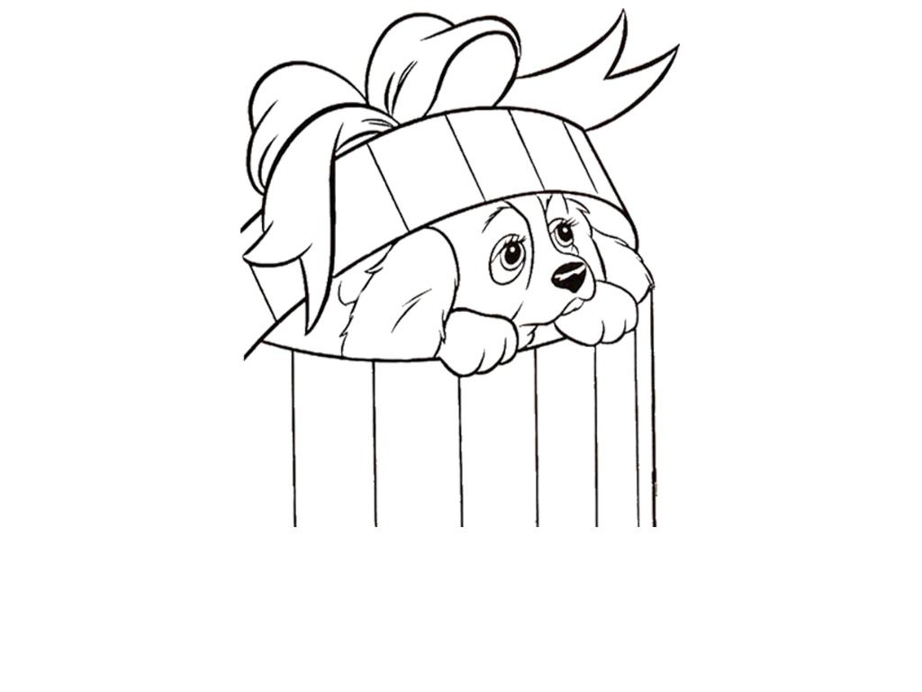 bojanke_1711280070.png