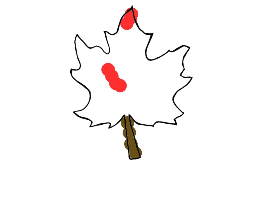 bojanke_1712689366.png