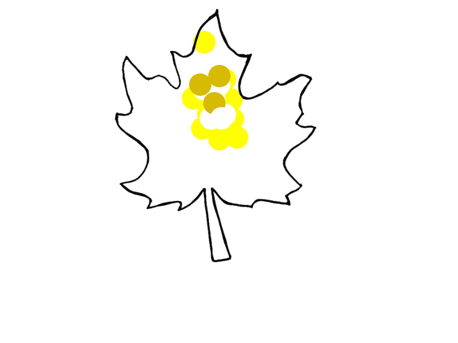 bojanke_1712690375.png