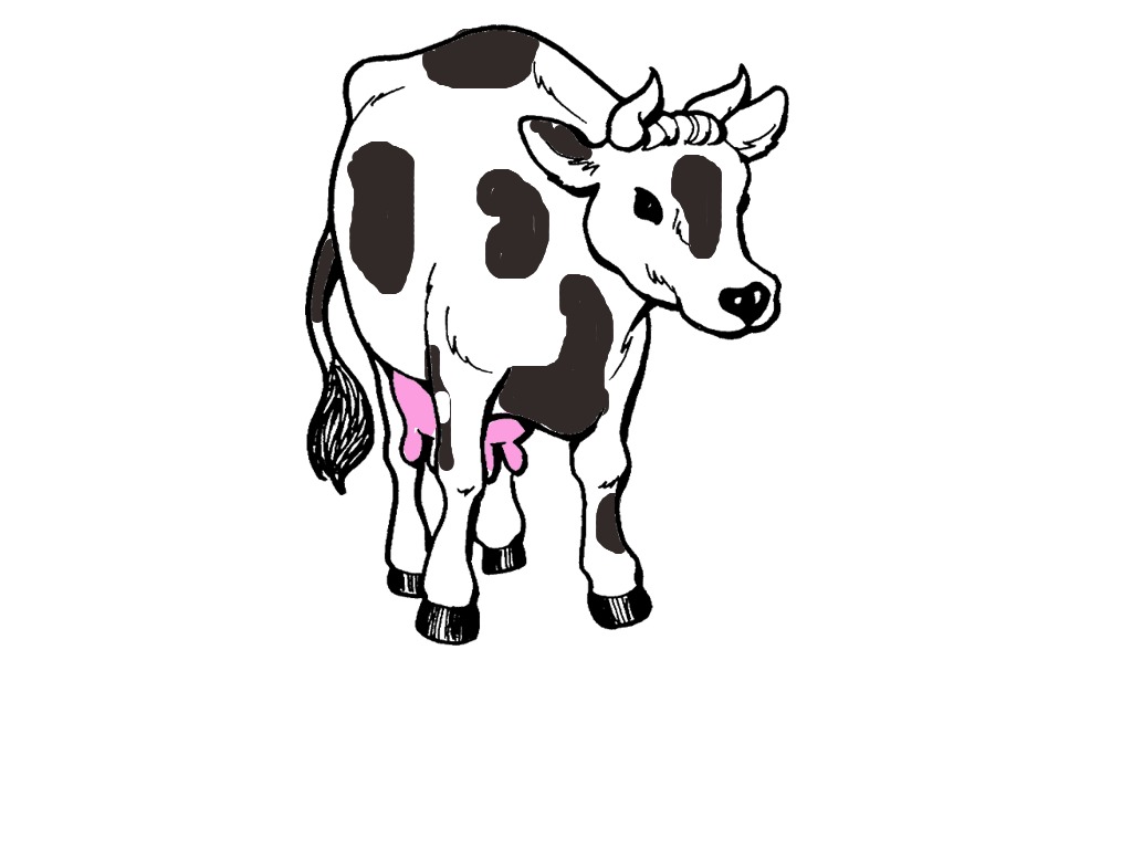 bojanke_1712690952.png