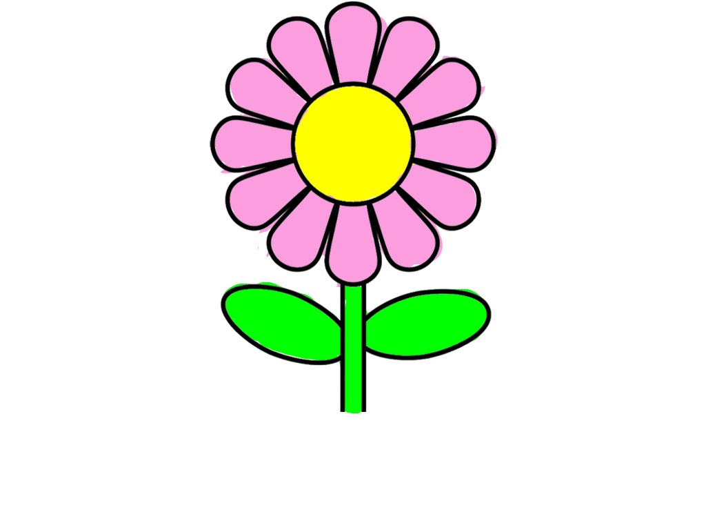 bojanke_1712744631.png