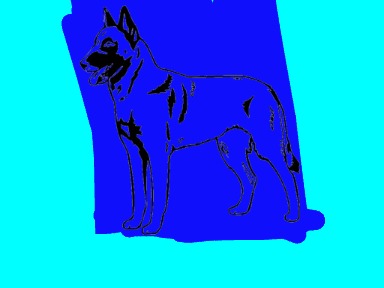bojanke_1712999100.png