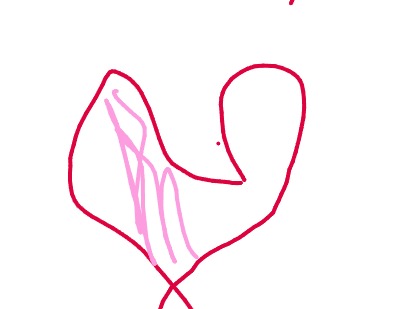 bojanke_1713001887.png