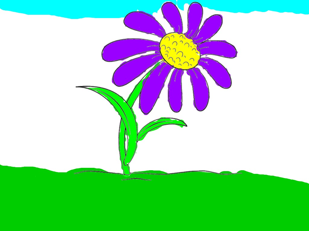 bojanke_1713448756.png