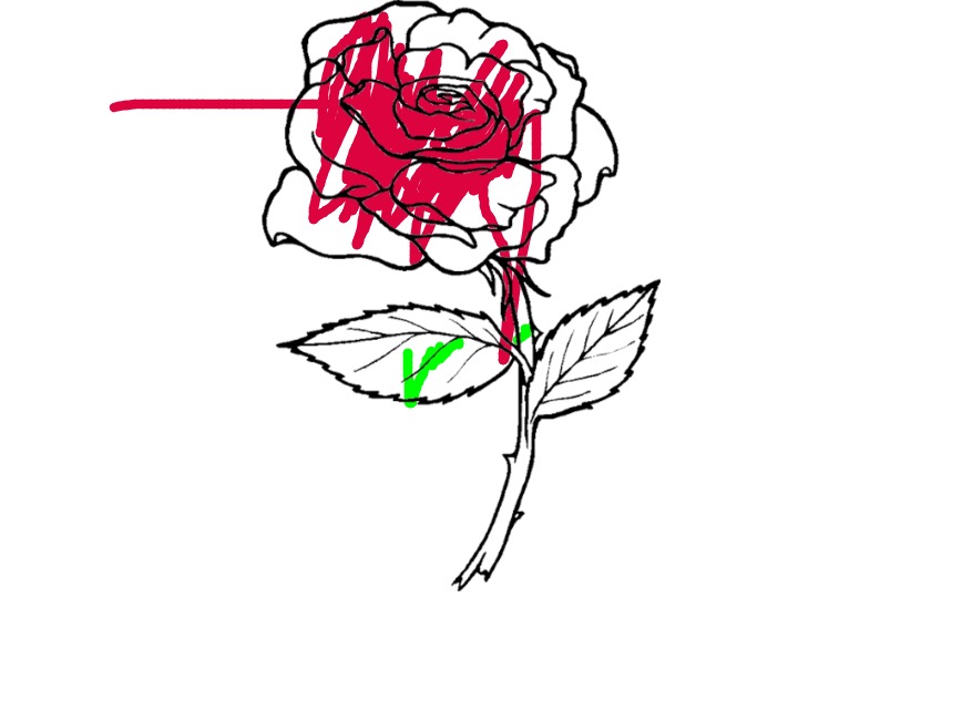 bojanke_1713535659.png