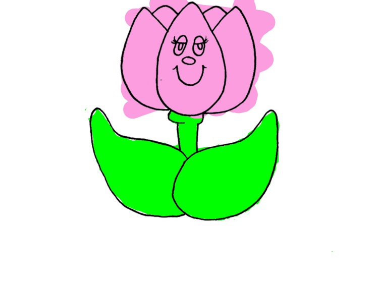 bojanke_1713537685.png