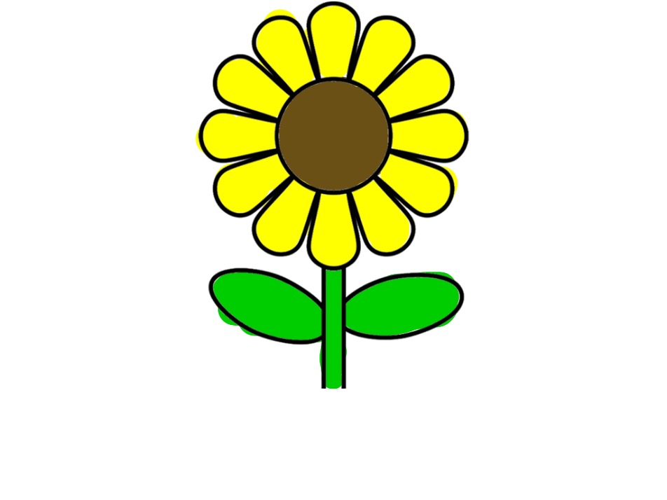 bojanke_1713800667.png
