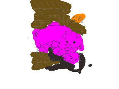 bojanke_1713957154.png