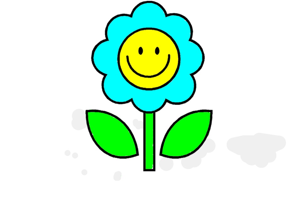 bojanke_1713962833.png