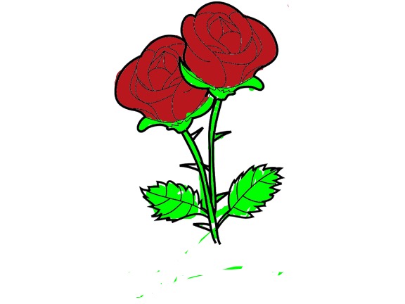 bojanke_1714031346.png
