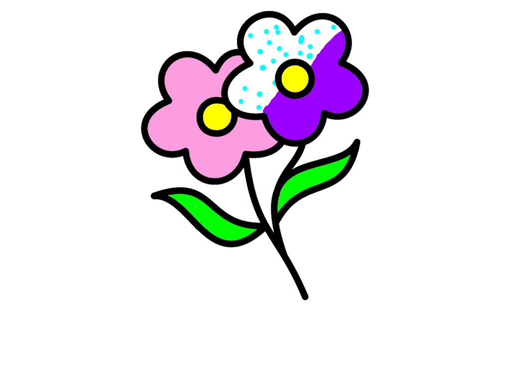 bojanke_1714038095.png