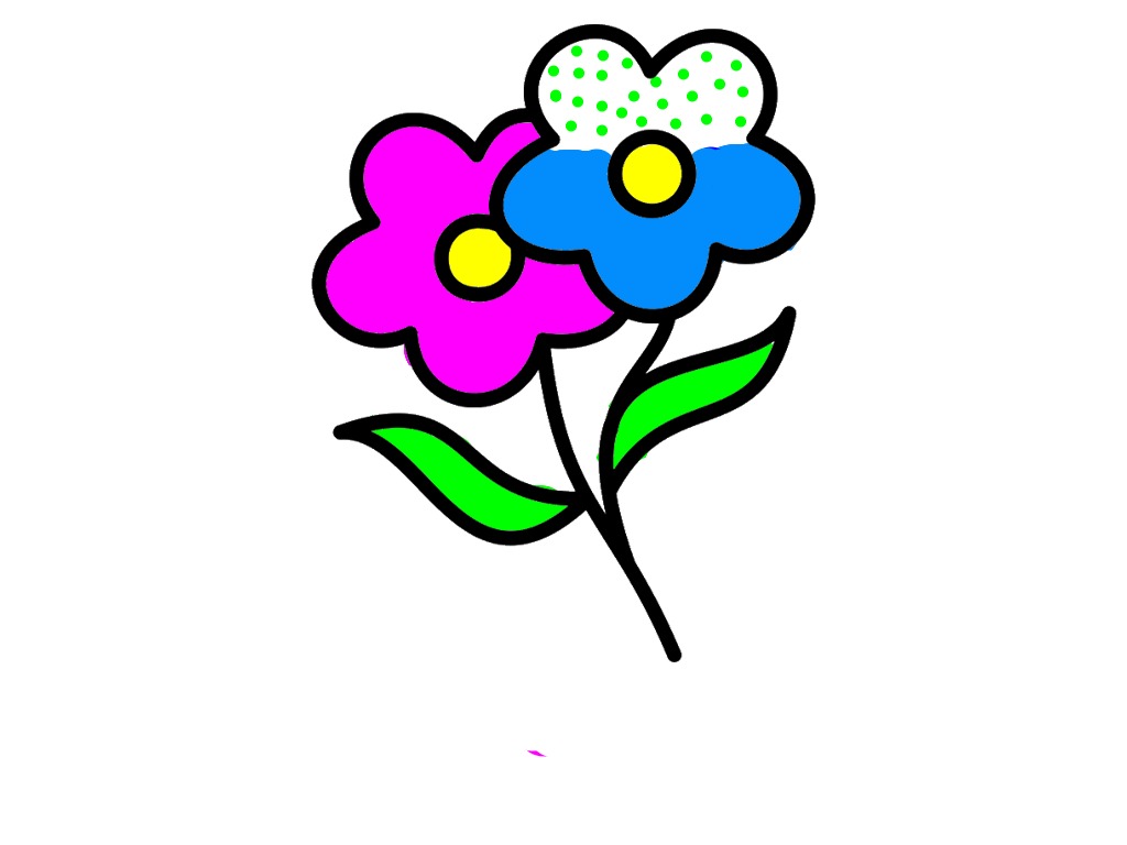 bojanke_1714043618.png