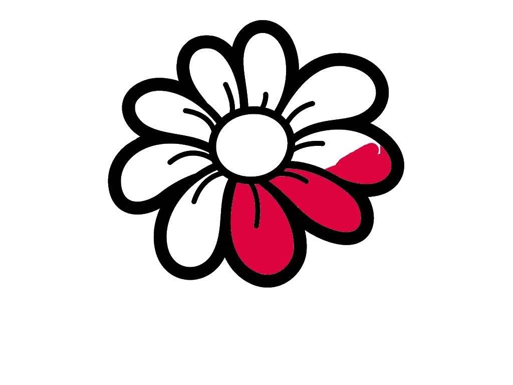 bojanke_1714393377.png
