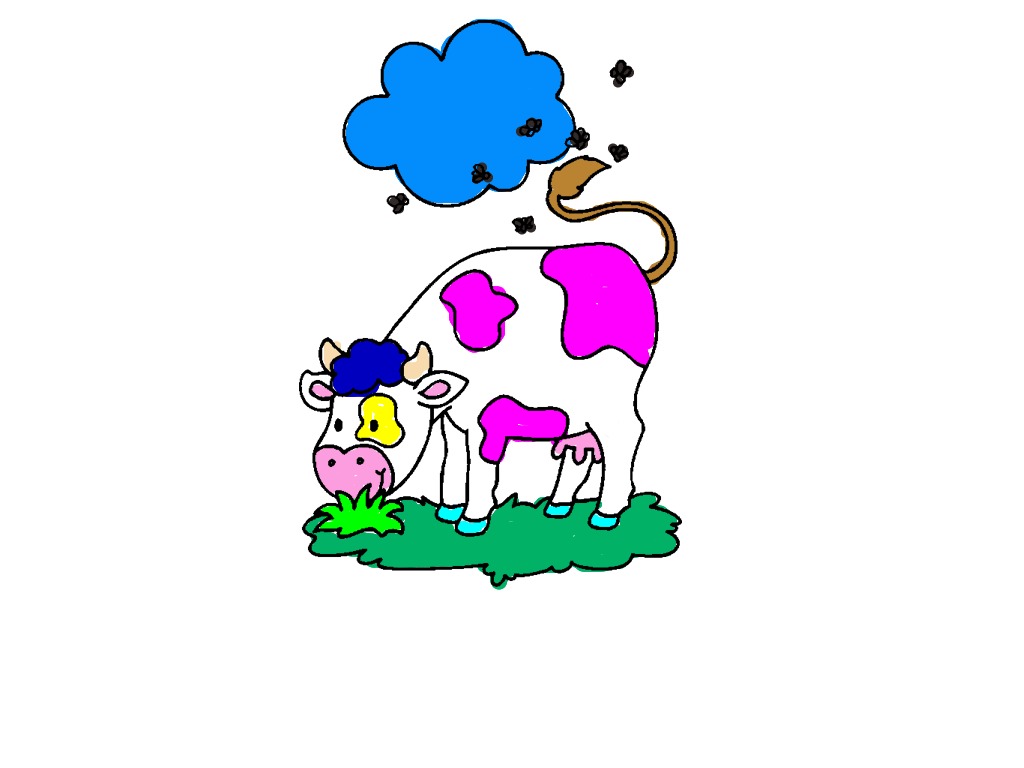 bojanke_1714481086.png