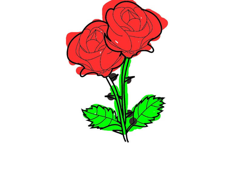 bojanke_1714633294.png