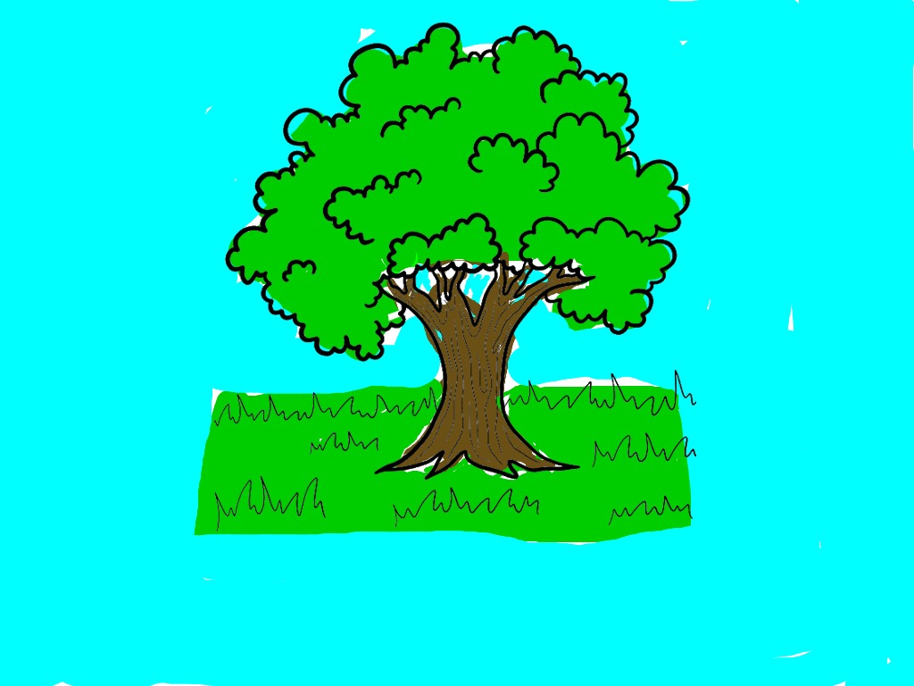 bojanke_1715844803.png