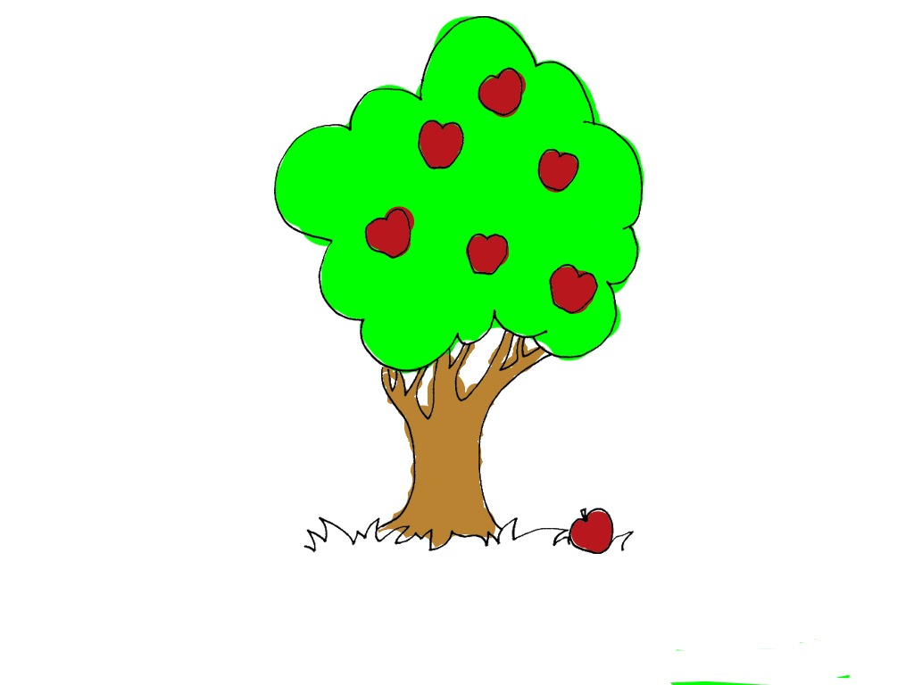 bojanke_1716035492.png
