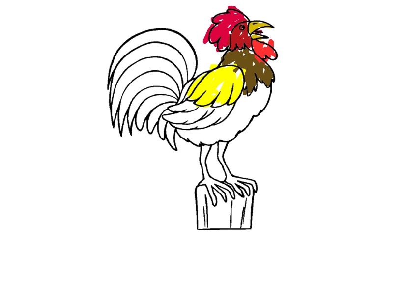 bojanke_1716891589.png
