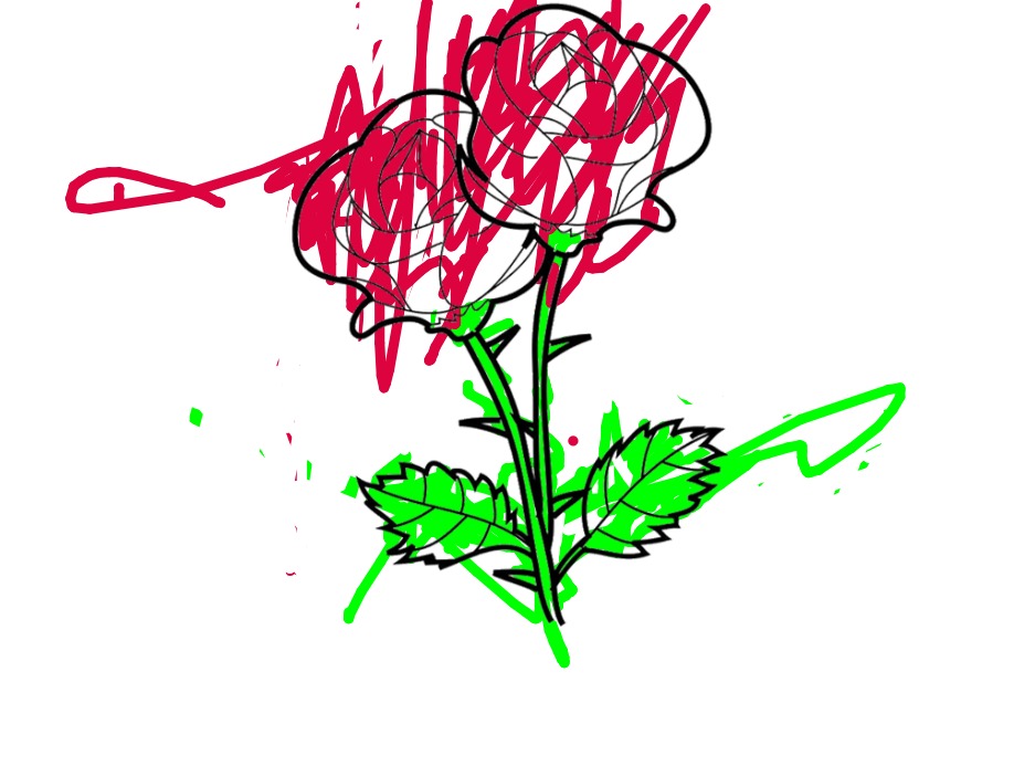 bojanke_1717004620.png