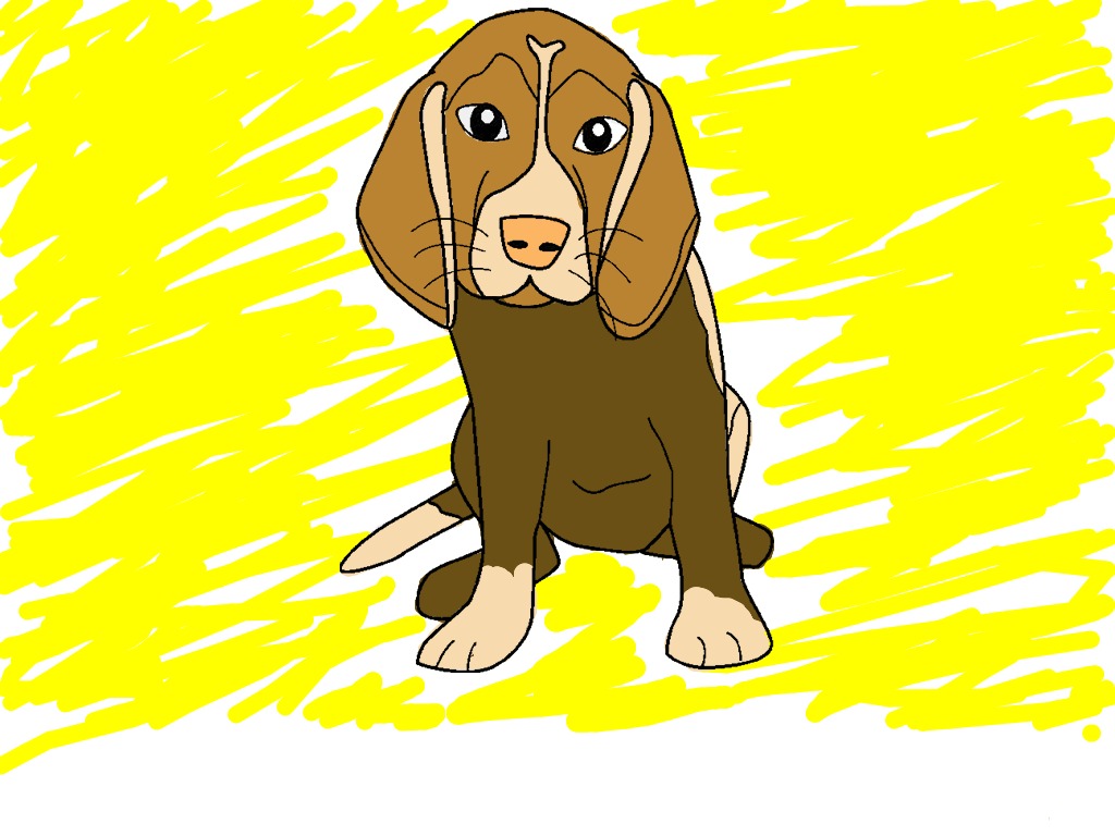 bojanke_1717061695.png